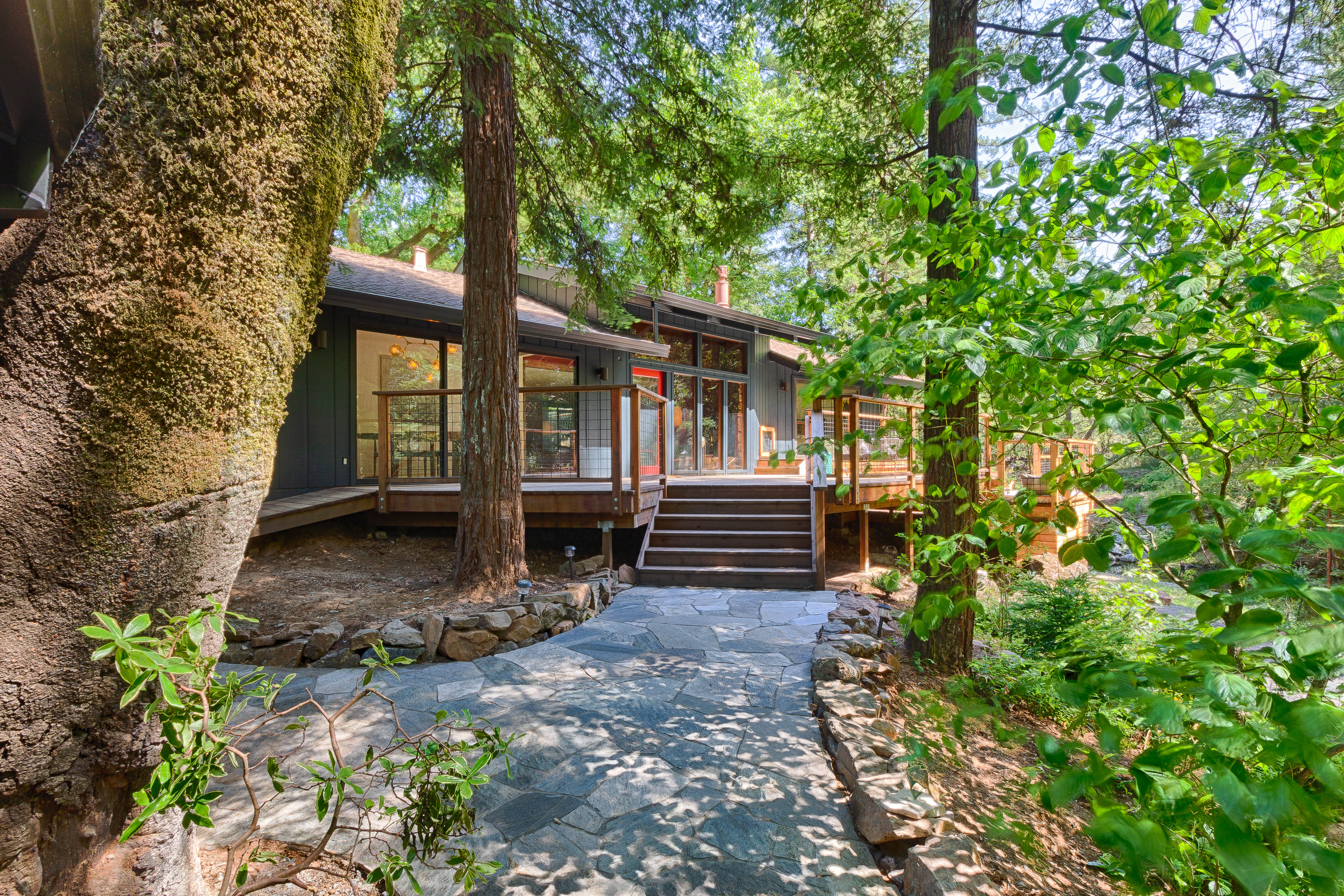 The cabin entrance tucked beneath mature redwoods